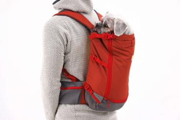 Ruffwear Hitch Hiker Dog Backpack Carrier Red Clay Gr. S